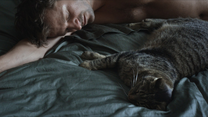 Kater | Gay- Film 2016 -- Platz 8 der besten schwul-lesbischen Filme 2016 -- schwul, Homosexualität