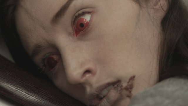Contracted -- STILL 2