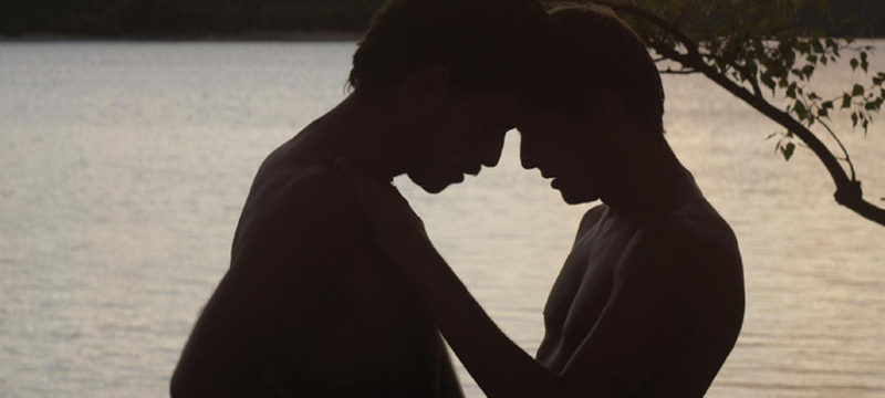 Der Freme am See | Film 2013 — Stream